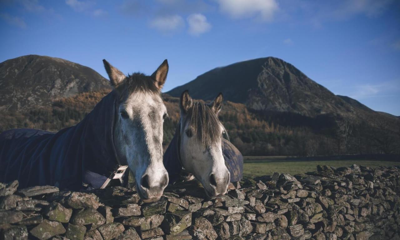 Villa Cedar Nook Loweswater Esterno foto